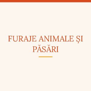 Furaje animale si pasari